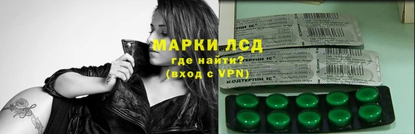 сатива Волосово