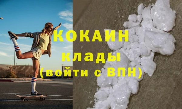 сатива Волосово