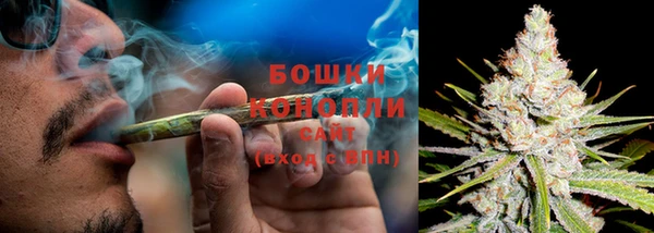 сатива Волосово